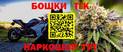 МДПВ Будённовск