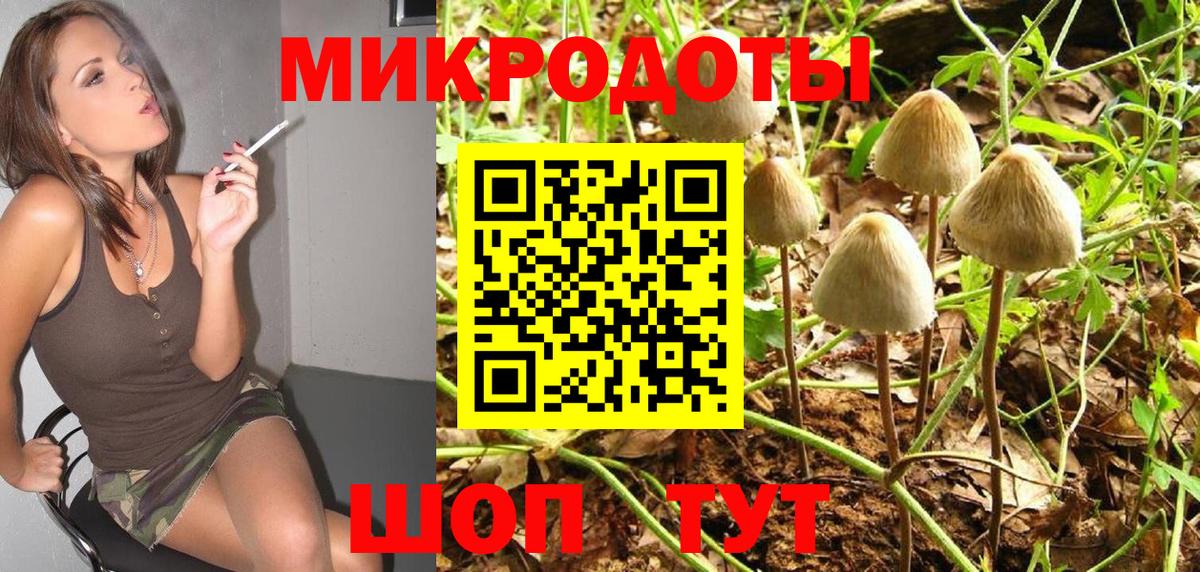 Псилоцибиновые грибы Миллерово